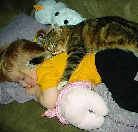 Sweet Dreams. - Children, cat, Dream, Doll