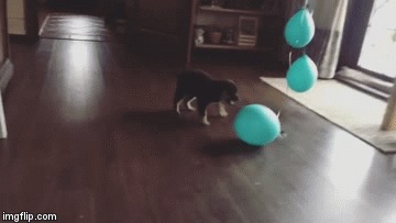       .         :)