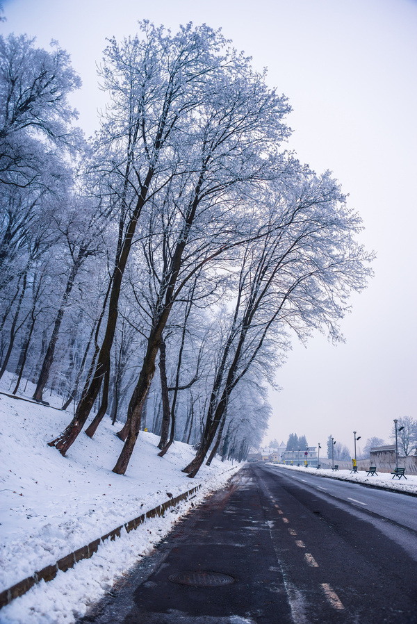 A bit of winter - My, Town, Brasov, Romania, Photo, Winter, Longpost