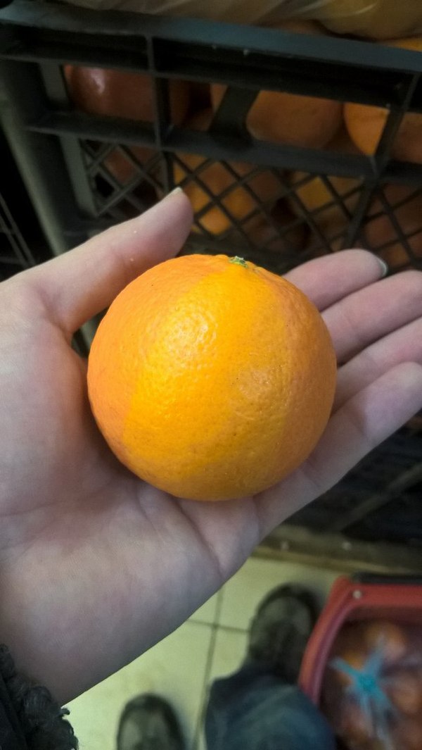 Mandarin didn't load. - My, Tangerines, , New Year, Hand, Longpost, Citrus