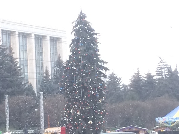 Christmas tree in the city center for 15,000 euros. - My, Budget, , , Government