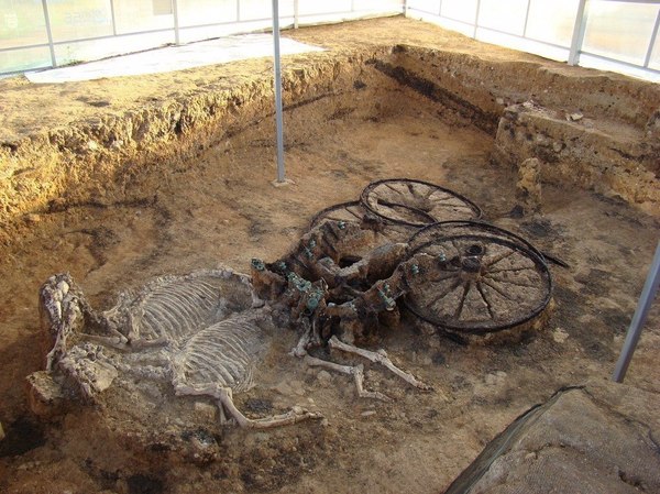 Thracian chariot 1st c. - Franks, Chariot, The culture, Skeleton, , Bulgaria