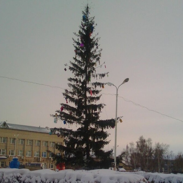 Hello Christmas tree, New Year! - My, Christmas trees, New Year