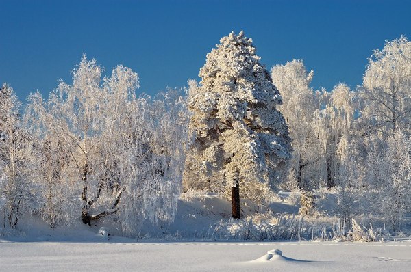 One has only to look around... The winter park of our nuclear city. - The park, Zheleznogorsk, Winter, beauty of nature, , Longpost