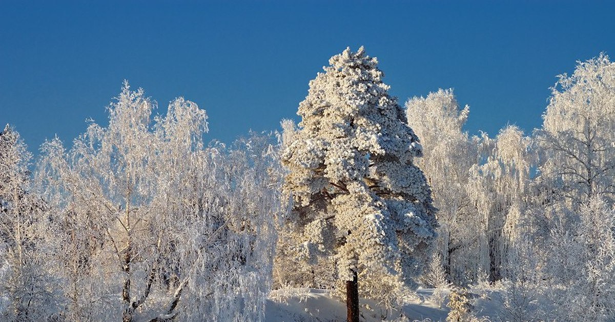 Родной край зимой. Железногорск Красноярский край зима. Зеленогорск Красноярский край зимой. Железногорск Красноярский край природа. Тайга Железногорск Красноярский край.