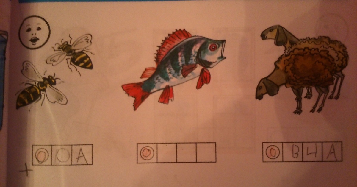 Рыбка на букву т. Рыба на букву с. Рыба из букв. Рыба на букву о 4 буквы. Рыба на гласную.