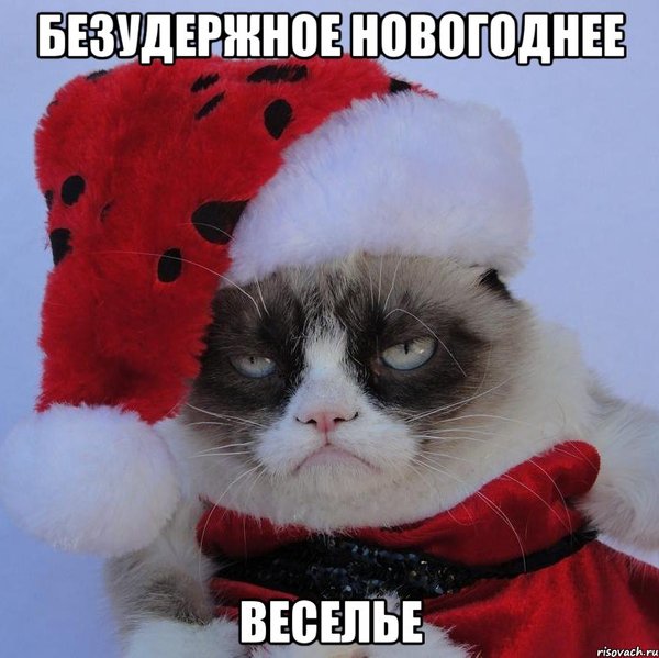 Christmas mood - Congratulation, New Year, cat, Fun, My