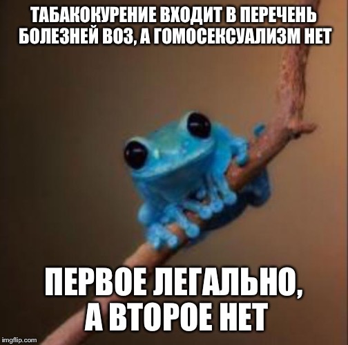 Я просто оставлю это здесь и возьму попкорн - Моё, Small Fact Frog, Illness, Болезнь