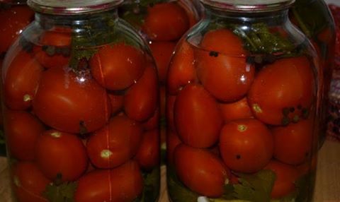 Salt everyone! - My, Tomatoes, Brine, 