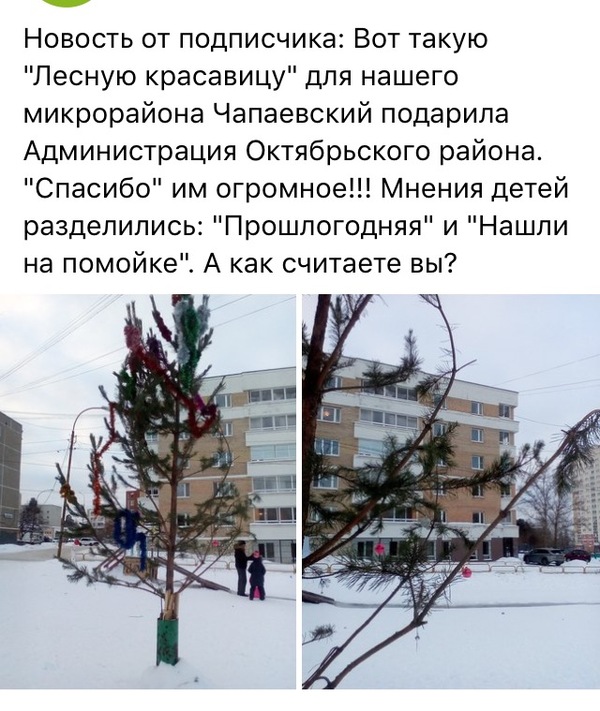 The holiday comes to us - Yekaterinburg, Christmas trees, Administration