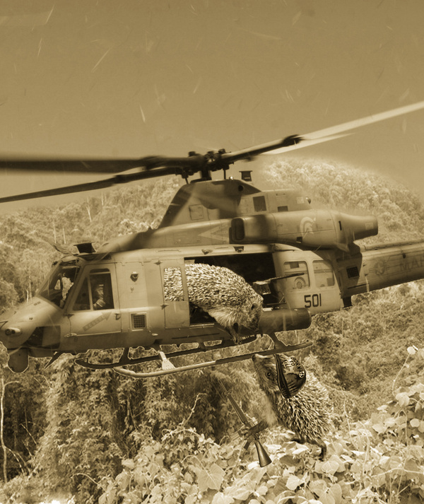 ������������������� ��