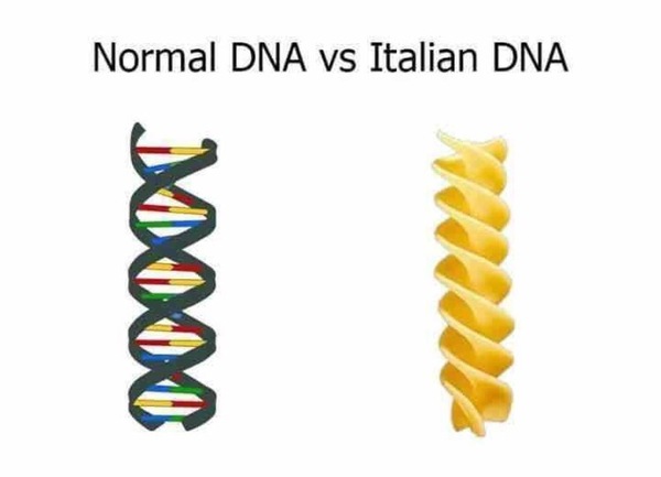 Normal human DNA and Italian DNA - DNA, , Italians, Reddit