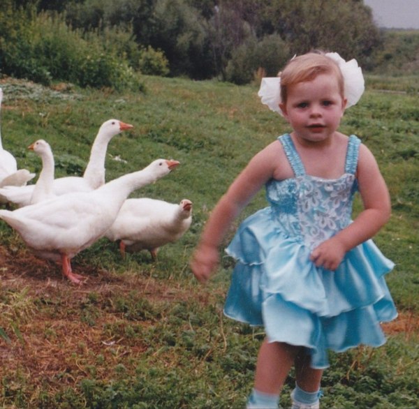 What is happening there? - Swan geese, Children, Field