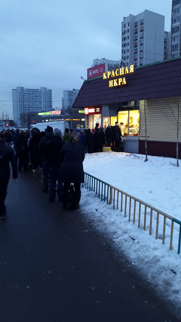 The country in which the crisis is being bought food for the winter (line for red caviar) - My, New Year, Caviar, , Russia, Today, Crisis, Red caviar