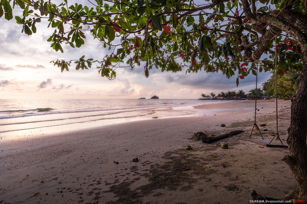 Delicate sunset. - Sunset, Thailand, Sea, My, Beach, Photo, Tree, The photo, Island