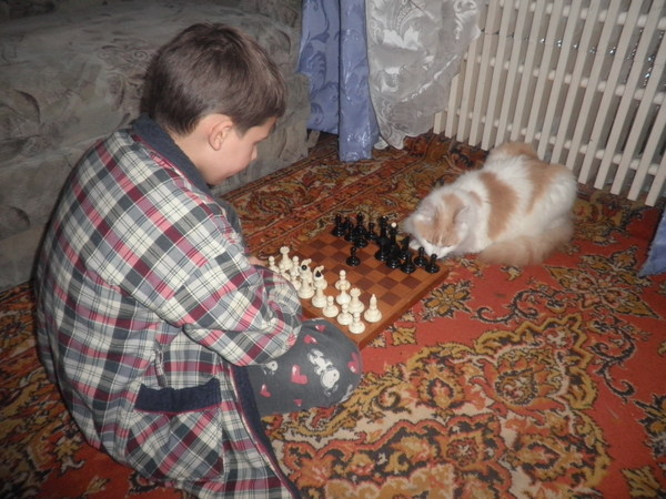 �������