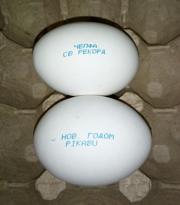 Two-yolk, New Year's, pikabush egg. - My, Eggs, New Year, Congratulation, My