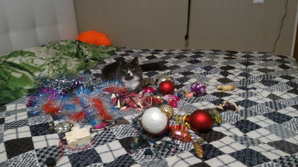 Кто такая "ёлка" и почему это всё ей?