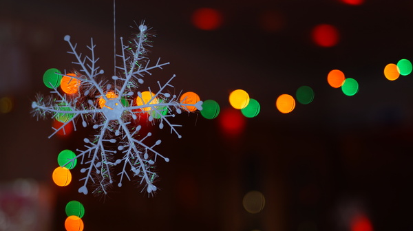 Snowflakes and garland - My, New Year, Photo