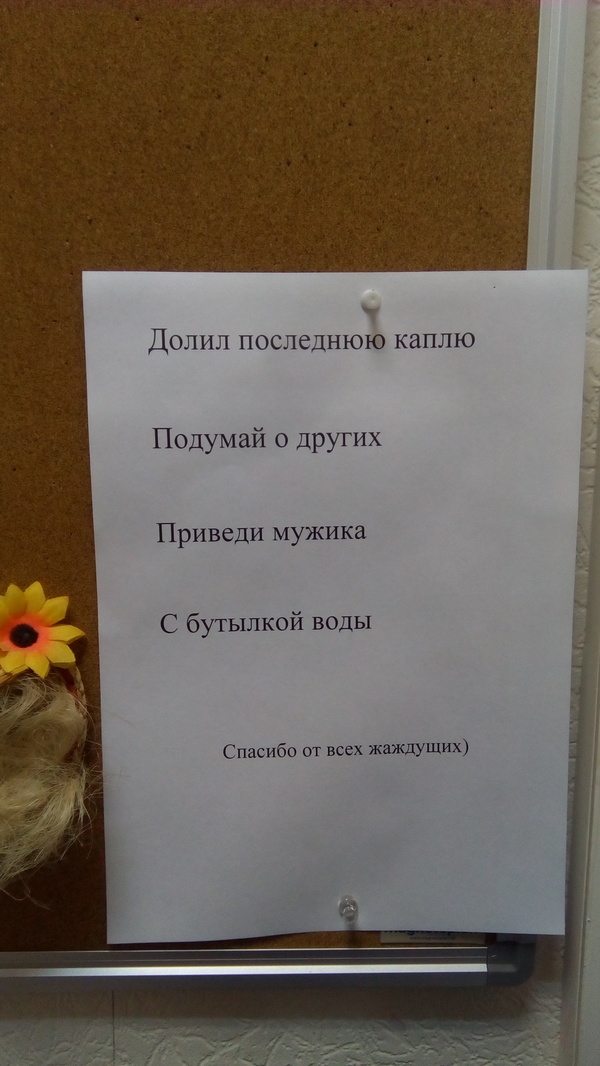 Когда в коллективе девушек в три раза больше, чем мужчин - Моё, Работа, Девушки, Объявление, Крик души