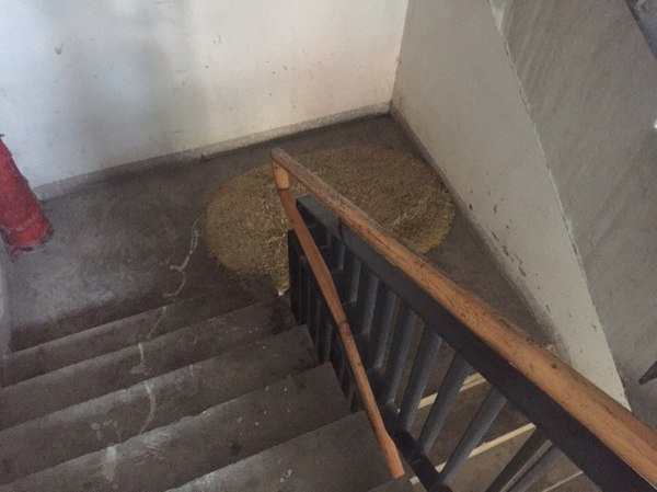 Спускался по ступенькам, подумал, что это блевотина :D