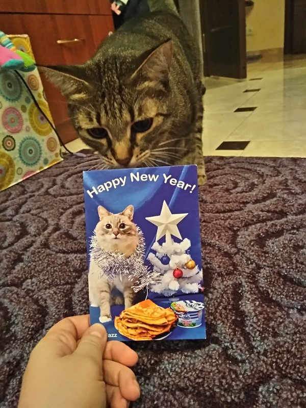 Hooray! New Year's cards!! Finally, a New Year's card with jazz cat came to me! Thank you @R.Good for the New Year mood! - My, Jazz Cat, Postcard, New Year, Tag, cat