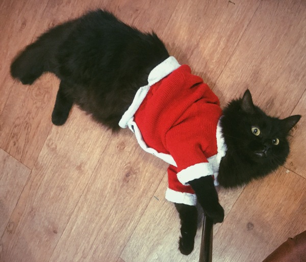 ���������� ��������������