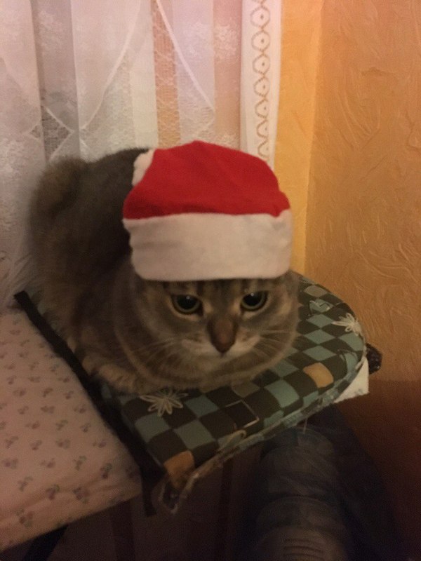 ������ ��� ���������� ��������� :)