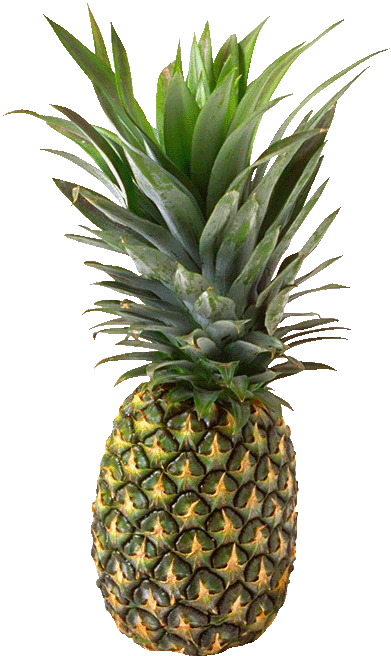 A pineapple - A pineapple, Hidden meaning, 