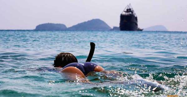 Snorkeling - NSFW, My, Thailand, Pattaya, Snorkeling, Tourism, 