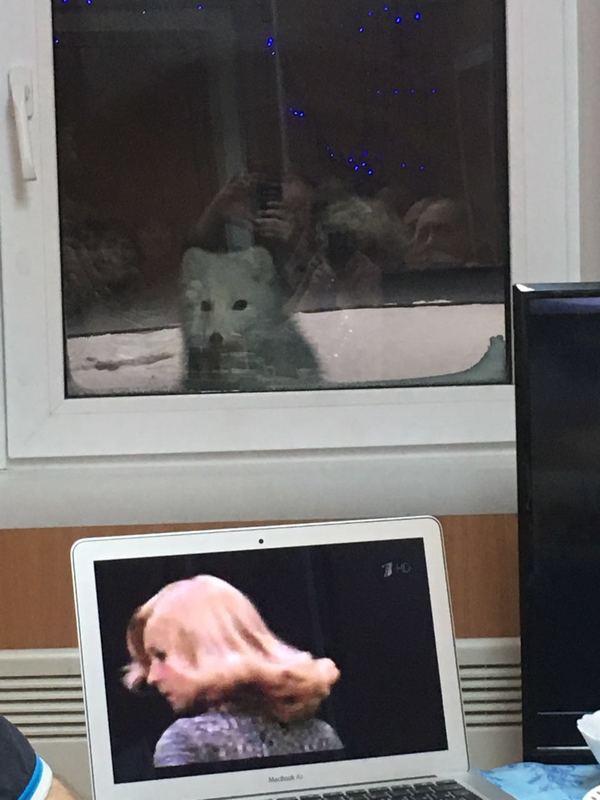 ����� ������!