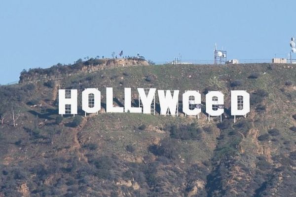 Правду не скроешь - Моё, Голливуд, Hollyweed, Фабрика грёз, Юмор, Розыгрыш, Америка, Новый Год, Длиннопост