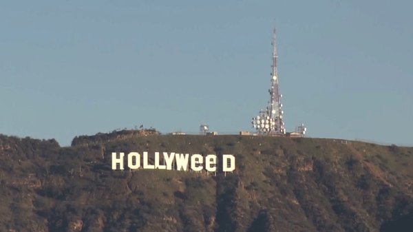holy marijuana - Hollywood, Grass, Marijuana, Hooligans