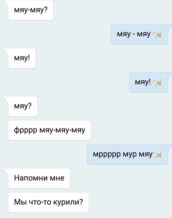 - Напомни мне. - Моё, Кот, Котики?