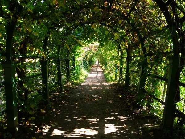 Peterhof. Upper park. - My, Saint Petersburg, Peterhof