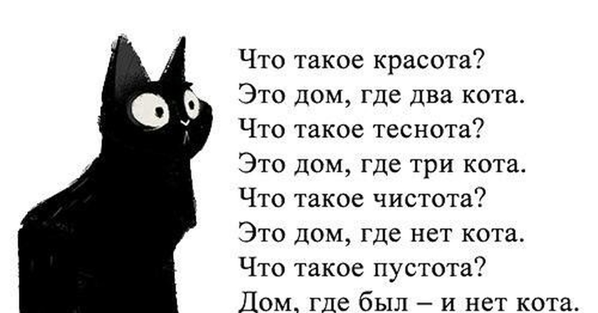 Стих что это. Стих про черного кота. Что такое пустота это дом где нет кота. Стишок про черного котика. Стишки про котов.