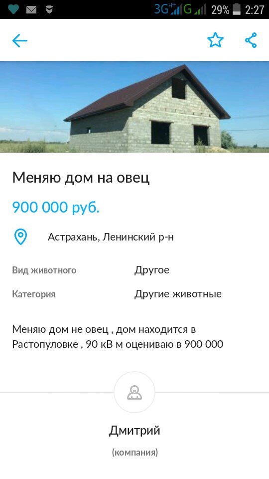 That feeling when Dagestan is near - Astrakhan, Sheeps, House, Avito