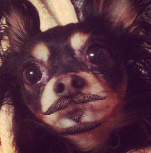 ���������