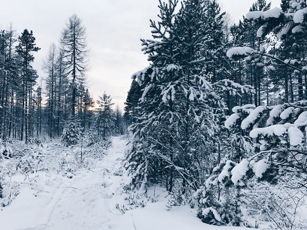 Greetings from the city of Neryungri!!! (The Republic of Sakha (Yakutia)) - My, Yakutia, Neryungri, Winter, New Year, Father Frost, beauty, Longpost