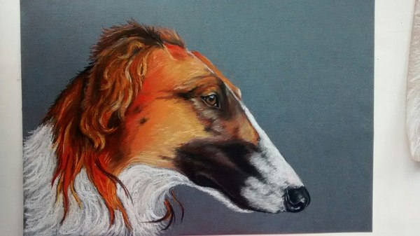 Dogs pastel - My, Drawing, Pastel, Dog, Greyhound, Longpost