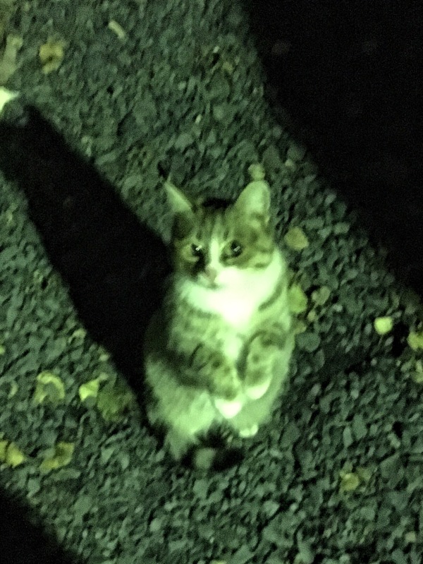 ����� , ���������� ��� � ���������� � �������� ��� �� ������ ������ - ���� ������.