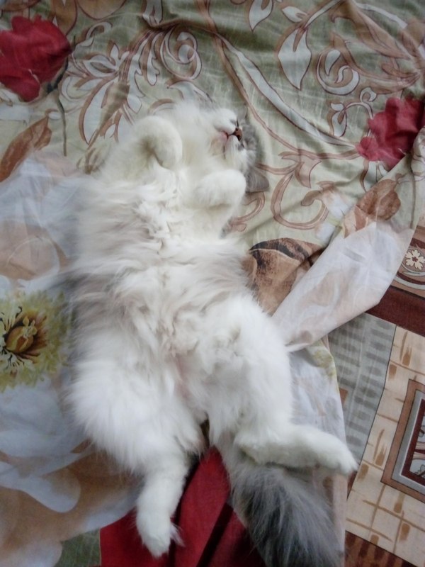 �� �������, ����� ������� ���� �����, �� �� ������� ������ ���� ����