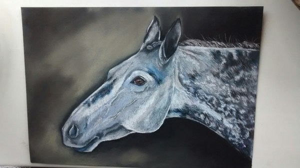 Pastel horses - My, Drawing, Pastel, Horses, Longpost