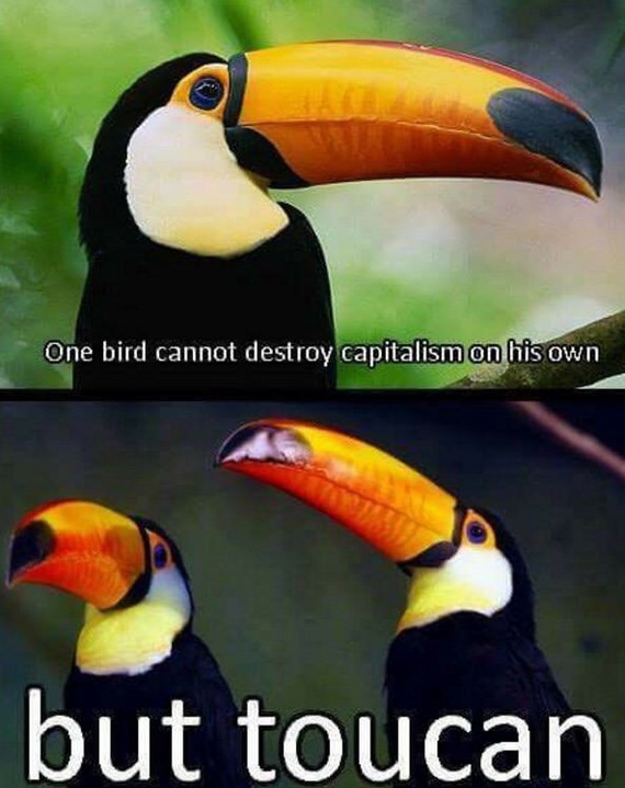 Untranslatable humor. - Untranslatable pun, Toucan, Birds