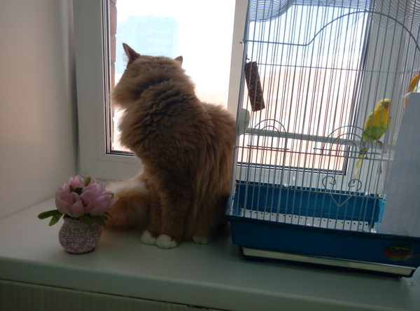 Мы слишком разные..