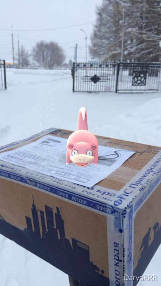 Gift exchange! - My, Package, New Year's gift exchange, Yummy, Vladivostok, Ufa, Pokemon GO, Longpost, Secret Santa