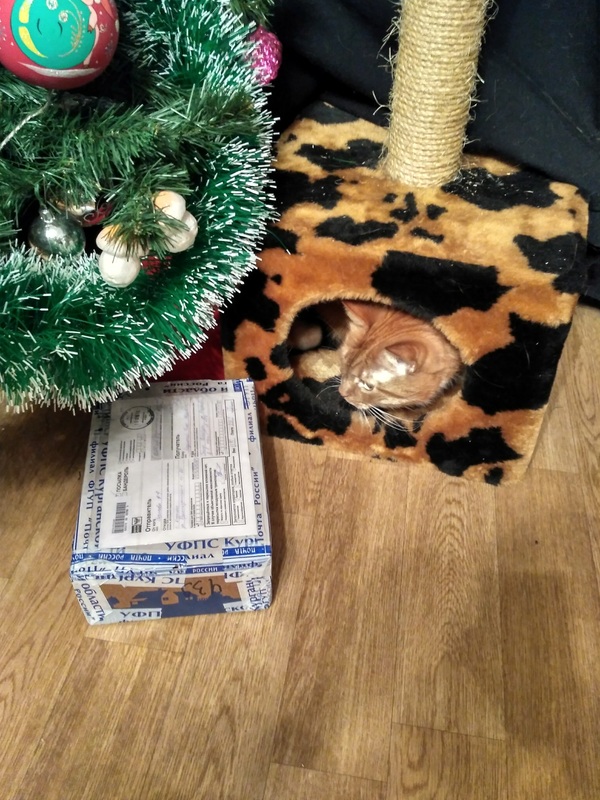 A parcel from the Snow Maiden from Kurgan. - New Year's gift exchange, Mound, Secret Santa, Longpost