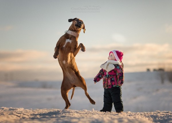Little children and their big dogs - Longpost, Children, The photo, Dog, , 