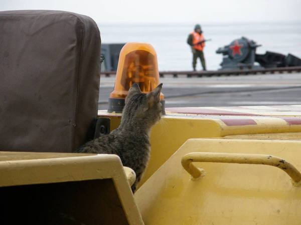 It is necessary to carefully check everything - whether all the cables are in working order! - cat, Ship, Navy, Aircraft carrier Kuznetsov