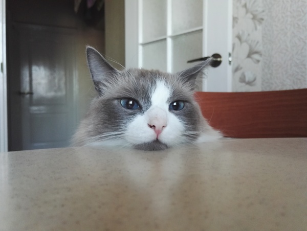 ��� ����� �������� :)